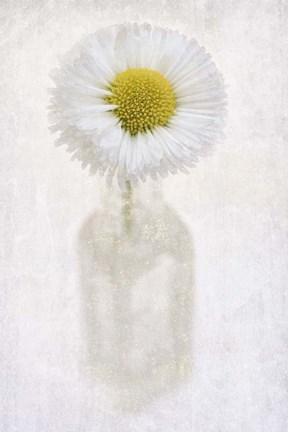 Framed Daisy in Little Bottle Print