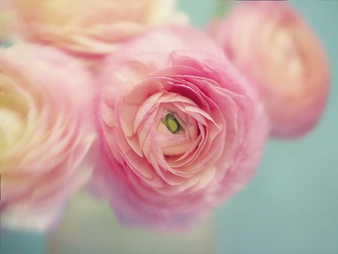 Framed Sweet Buttercups Print