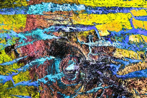 Framed Colorful Bark 11 Print