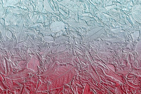 Framed Leaves in Pastel Colors 14 Print