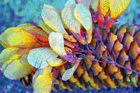 Framed Nature in Rainbow Colors 8 Print