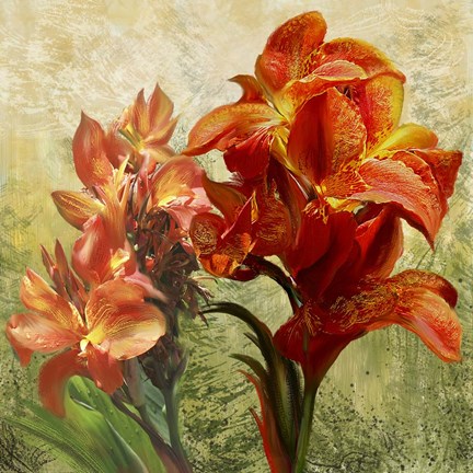 Framed Orange Orchid Passion 1 Print