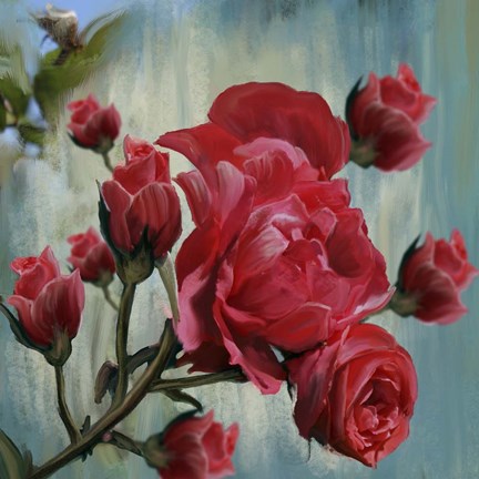 Framed Red Rose Bloom Print