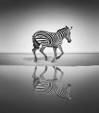 Framed Sea of Freedom Print