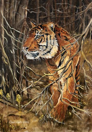 Framed Intense Tiger Print