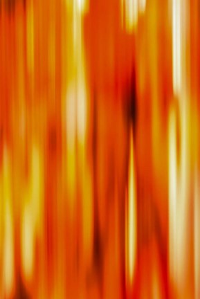 Framed Flame of Life 1 Print