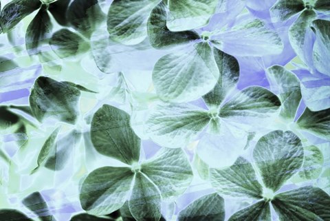 Framed Heavy Shadows in Blue and Green 1 Print