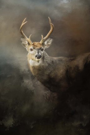 Framed Buck In The Moonlight Print