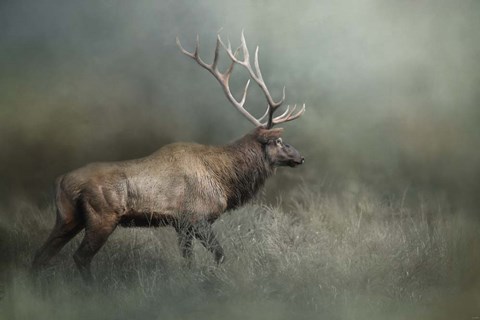 Framed Meandering Print