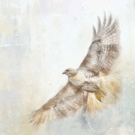 Framed Angel Hawk Print