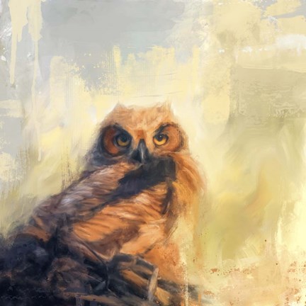 Framed Owlet By The Beach Print