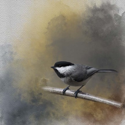 Framed Ready For A Challenge Print