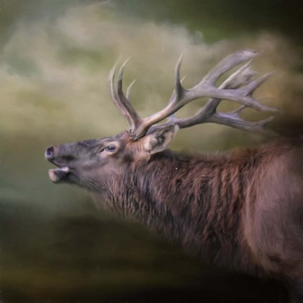 Framed Storm Caller Print