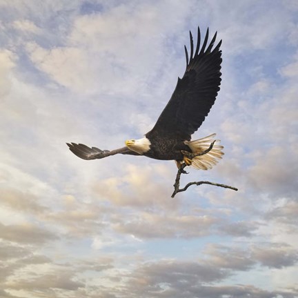 Framed Master Builder Print