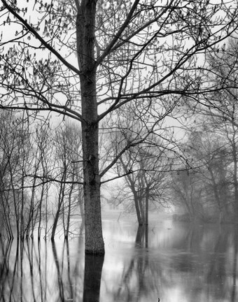 Framed All Mimsy Were the Borogoves Print