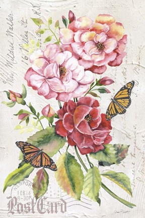 Framed Summer Rose Postcard A Print