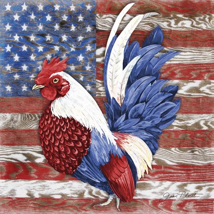 Framed American Rooster A Print