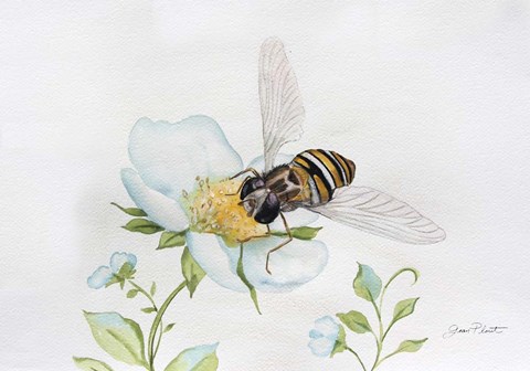 Framed Bee In Watercolor Print