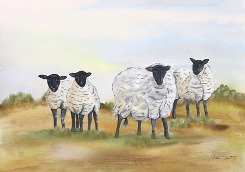 Framed Farm Animal In Pasture C Print