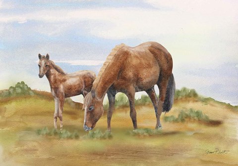 Framed Farm Animal In Pasture D Print