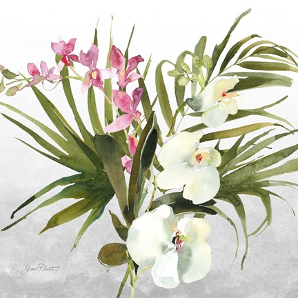 Framed Beautiful Orchids A Print