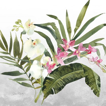 Framed Beautiful Orchids B Print