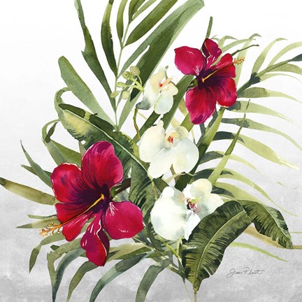 Framed Beautiful Orchids D Print