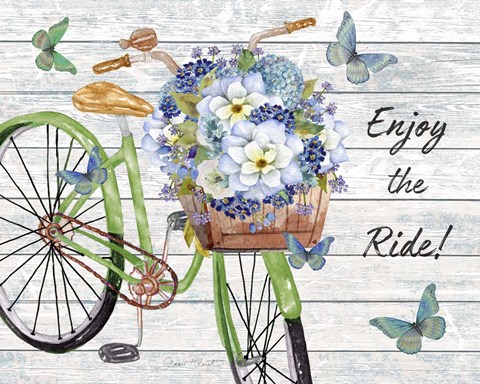 Framed Bicycle Inspirations C Print