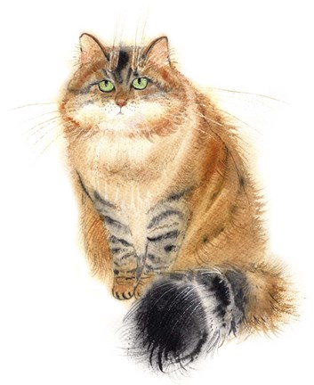 Framed Siberian Cat Print