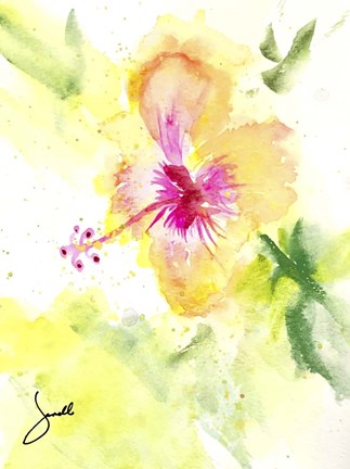 Framed Hibiscus Print