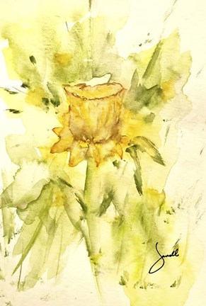 Framed Single Daffodil Print