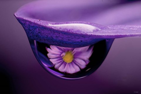 Framed Water Drops 4 Print