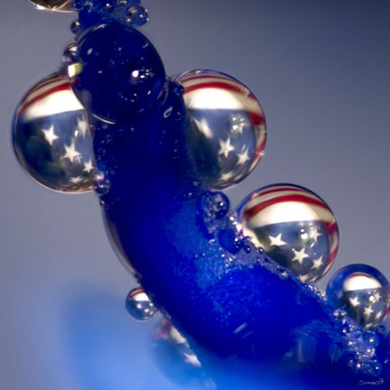 Framed Red, White and Blue Orchid 10 Print