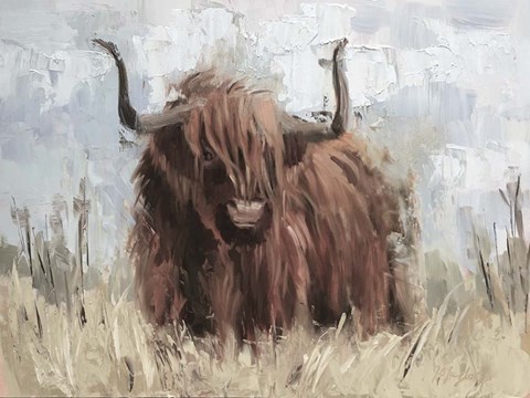 Framed Scottish Highland Bull B Print