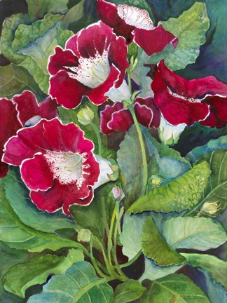 Framed Red Gloxinia Print