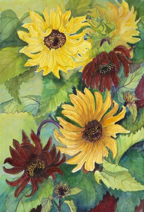 Framed Light and Dark Sunflower Print