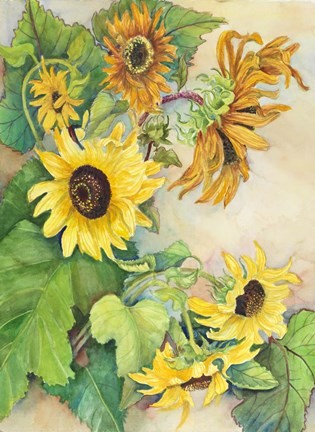 Framed Sunflowers Reaching for the Sun Print