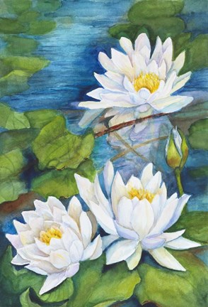 Framed White Waterlilies Print