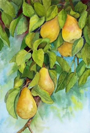 Framed Pears 2 Print