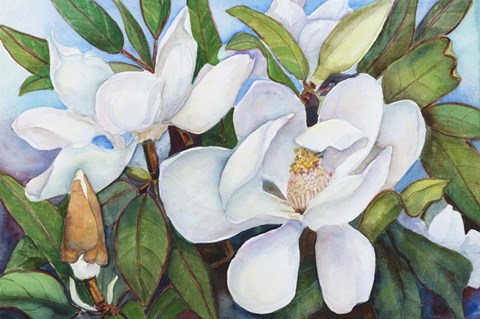 Framed Magnolia with Blue Sky Print