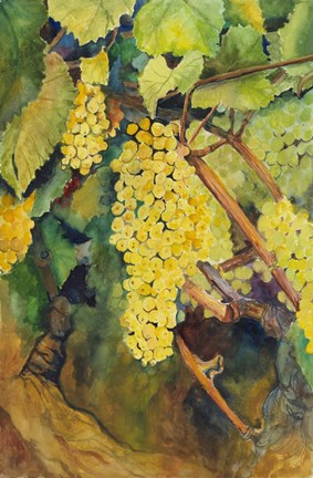 Framed Yellow Grapes Print