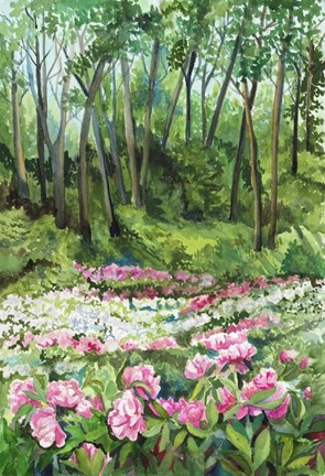 Framed Ann Arbor Peony Gardens Print
