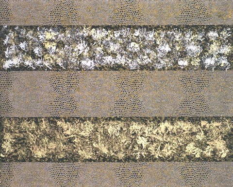 Framed Shagreen Print