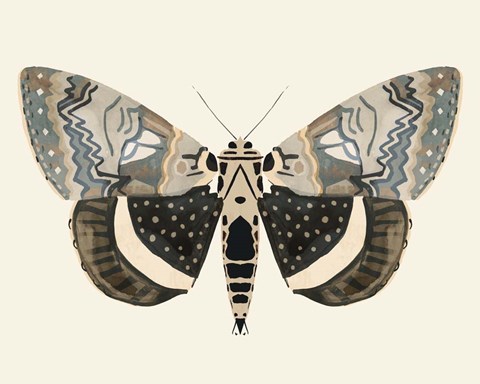 Framed Neutral Moth I Print