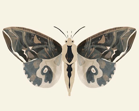 Framed Neutral Moth II Print