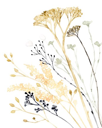 Framed Summer&#39;s Souvenir I Print