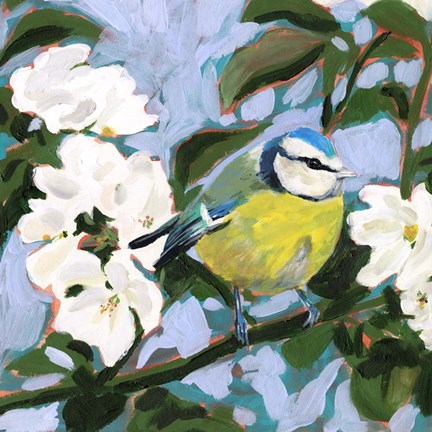 Framed Perching I Print