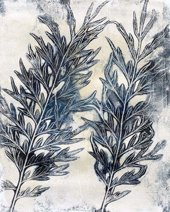 Framed Presence of Nature I Print