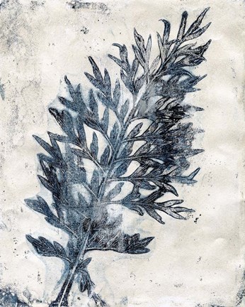 Framed Presence of Nature II Print