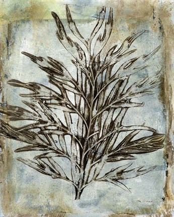 Framed Presence of Nature III Print